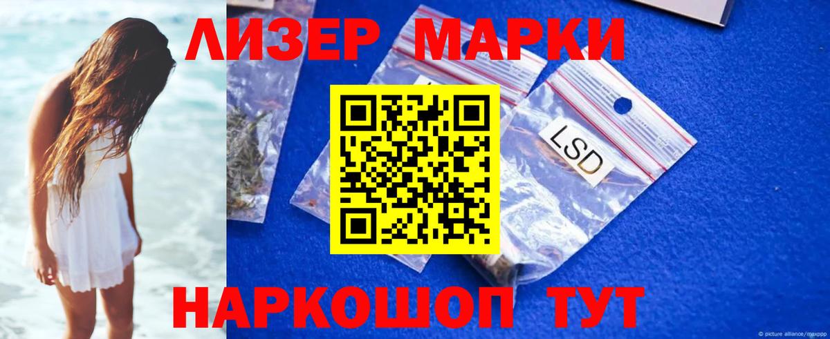 blacksprut как зайти  Березники  Лсд 25 экстази кислота 