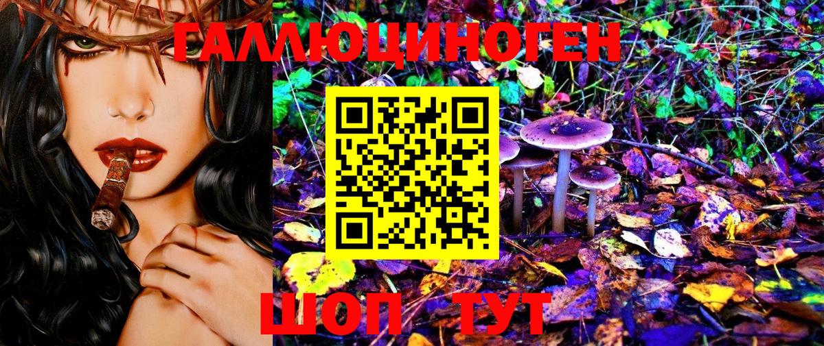 Псилоцибиновые грибы Psilocybine cubensis  Вход с VPN  Березники 
